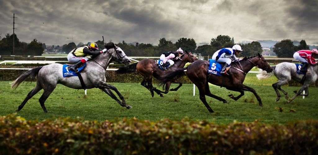 Horse racing action